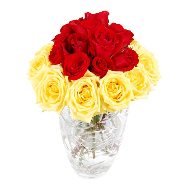 red yellow roses